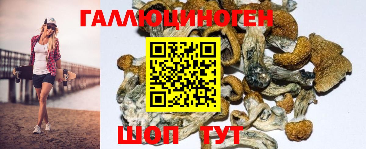 Псилоцибиновые грибы Psilocybe  что такое   Вход с VPN  Оренбург  Галлюциногенные грибы MAGIC MUSHROOMS 