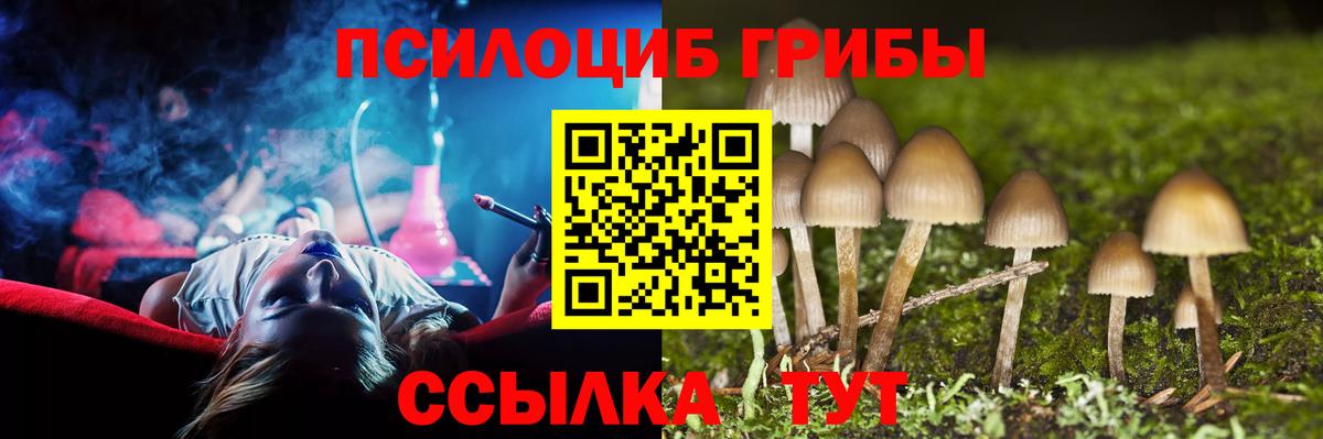 Псилоцибиновые грибы Cubensis Оренбург